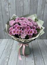 Букет цветов из:  Хризантемы #REPLACE_PRED# Краснооктябрьский