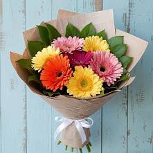 Букет цветов из:  Герберы #REPLACE_PRED# Краснооктябрьский