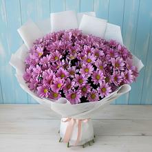 Букет цветов из:  Хризантемы в Краснооктябрьский