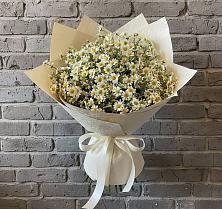 Букет цветов из:  Ромашки в Краснооктябрьский