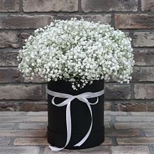 Цветочная композиция из Гипсофила в шляпной коробке #REPLACE_PRED# Краснооктябрьский