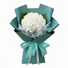 Букет цветов из:  Гортензия в Краснооктябрьский